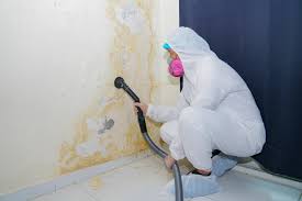 Best Residential Mold Inspection & Testing in USA